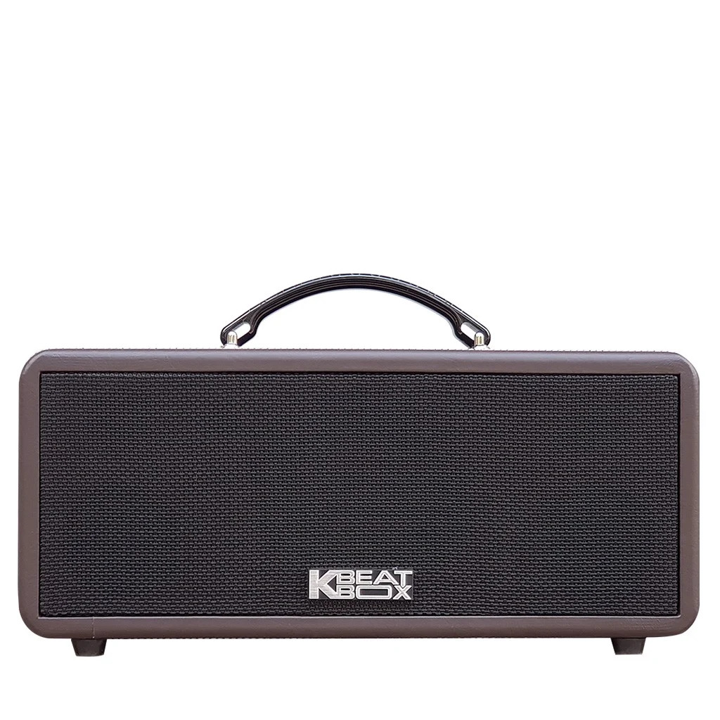 Tổng hợp các loại loa karaoke phổ biến hiện nay